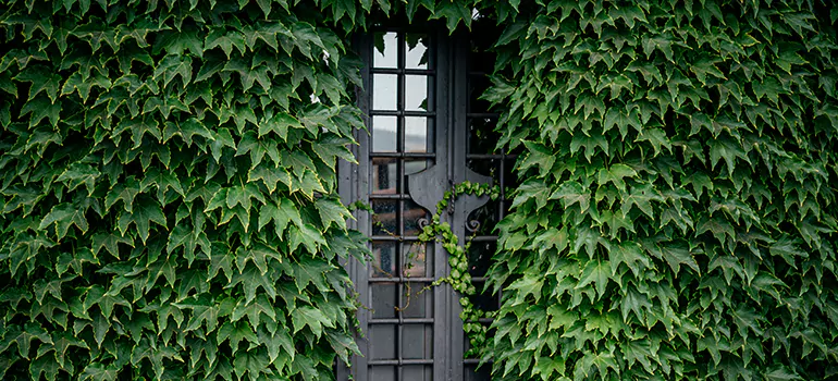 Garden Gate Repair in Merritt Island, FL