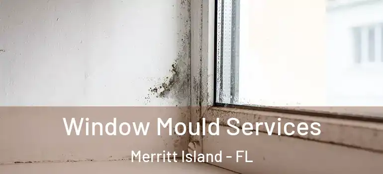  Window Mould Services Merritt Island - FL
